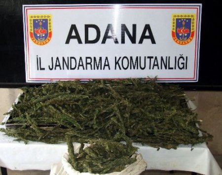 Adana'da 28 Kilo 515 Gram Esrar Ele Geçirildi