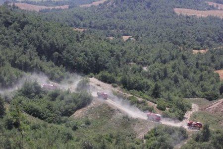 Adana'da orman yangını tatbikatı gerçeğini aratmadı