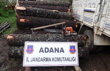 Adana'da ormanda kaçak kesim yapan iki kişi yakalandı