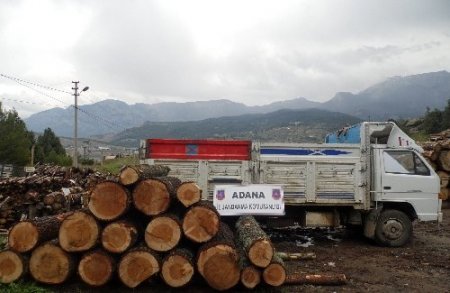 Adana'da ormanda kaçak kesim yapan iki kişi yakalandı