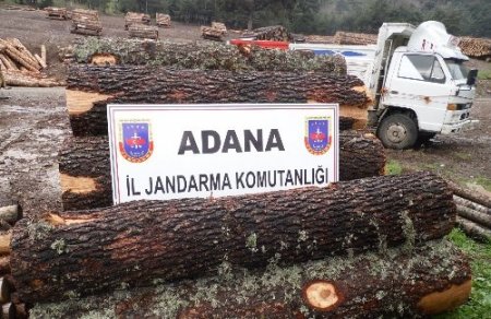 Adana'da ormanda kaçak kesim yapan iki kişi yakalandı