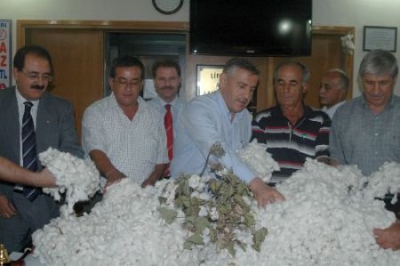 Adana'da Sezonun İlk Kütlü Pamuğu 20,5 Tl'ye Satıldı