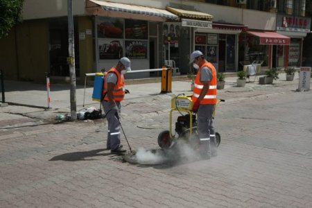 'Adanalıların Duyarlılığı Ölçüsünde Sinekle Mücadelede Başarılı Oluruz'