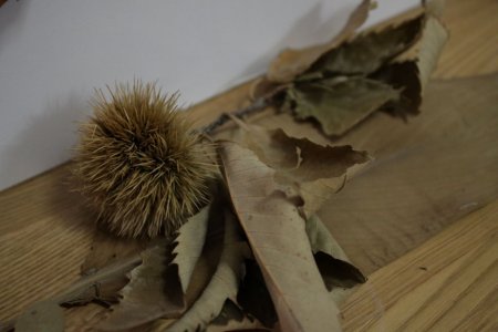 Adanın eşsiz koleksiyonuna rağbet yok (Özel)