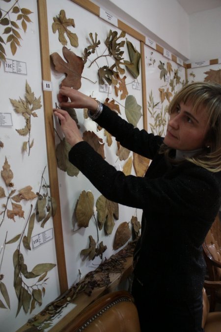 Adanın eşsiz koleksiyonuna rağbet yok (Özel)