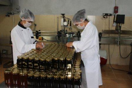 Adilcevazlılar cevizin bütün nimetlerinden faydalanıyor