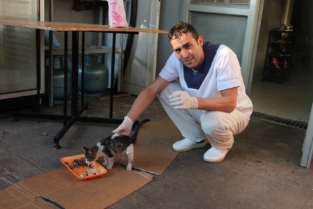 Adına öksüz koyduğu kediye çocuğu gibi bakıyor