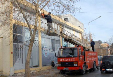 Adıyaman Belediyesi ağaç budama çalışması başlattı