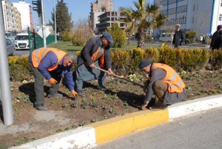 Adıyaman’da Refüjler Rengârenk