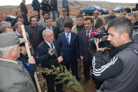 Adıyamanlı Gazeteciler 200 Fidanı Toprakla Buluşturdu