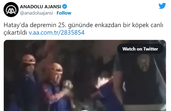 adsiz-305.jpg