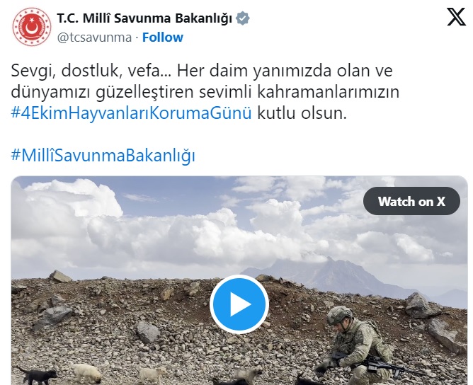 adsiz-582.jpg