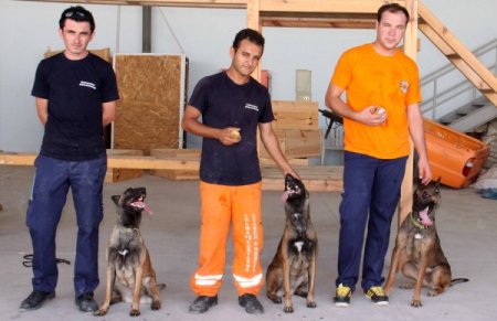 Afad’ın Dedektör Köpekleri, Uluslararası Yarışmalara Hazırlanıyor