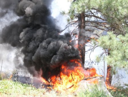 AFAM: 6 ayda 52 kişi yangında öldü