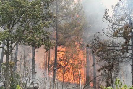 AFAM: 6 ayda 52 kişi yangında öldü