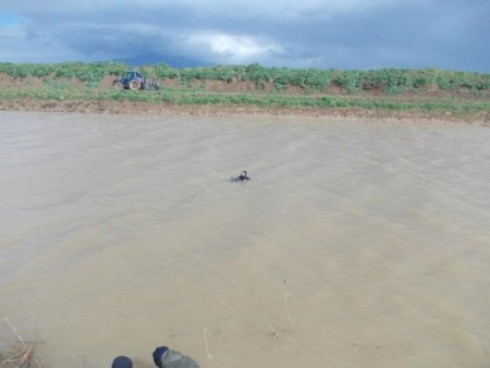 Afrin Çayı'nda akıntıya kapılan çoban bulunamadı