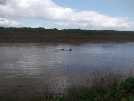 Afrin Çayı'nda akıntıya kapılan çoban bulunamadı