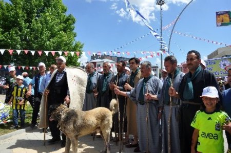 Afşin'de Eshab-ı Kehf'te 5. Yemliha Yürüyüşü yapıldı