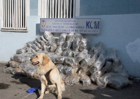 Afyon'da 165 kilogram esrar maddesi ele geçirildi