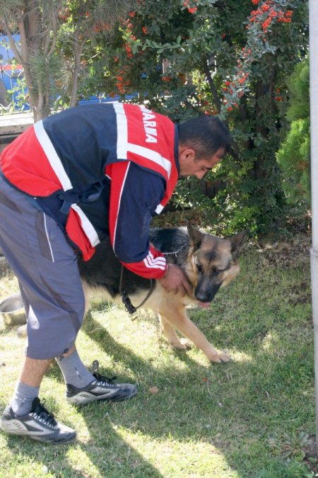 Afyonkarahisar Adliyesi’ne Asılsız Bomba İhbarı