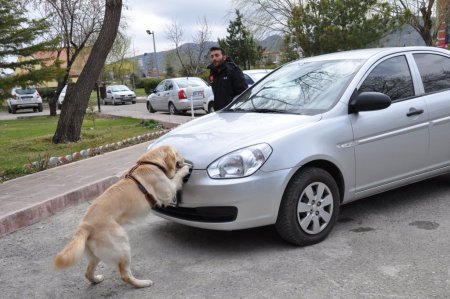 Afyonkarahisar'da bir yılda 5 milyon TL'lik uyuşturucu ele geçirildi