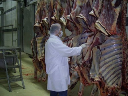 Afyonkarahisar’da sağlıklı kırmızı et için yeni uygulama başlatıldı