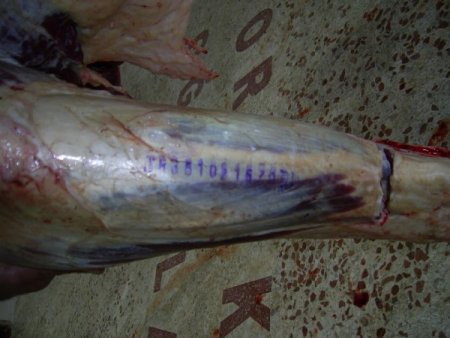 Afyonkarahisar’da sağlıklı kırmızı et için yeni uygulama başlatıldı