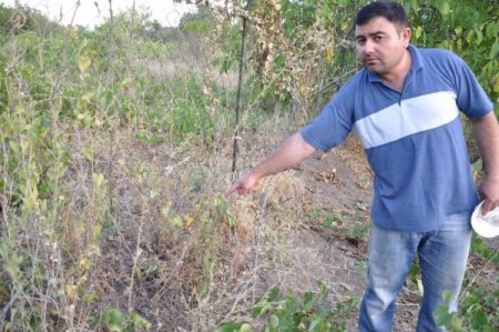Afyonkarahisar’da tarlada el bombası patladı, bir köylü yaralandı