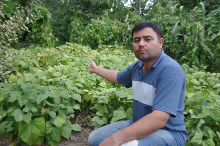 Afyonkarahisar’da tarlada el bombası patladı, bir köylü yaralandı