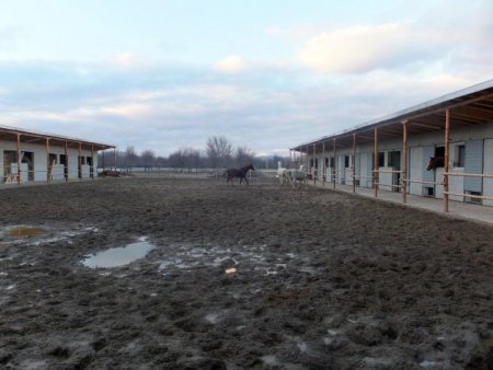 Afyonkarahisar’da termal otel müşterileri için atlı koşu pisti yapılıyor