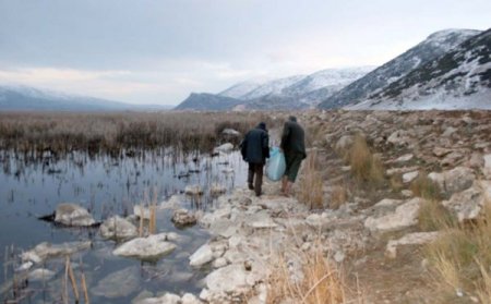 Afyonkarahisar'da Yaban Hayvanlarının Aç Kalmaması İçin Doğaya Yem Bırakıldı