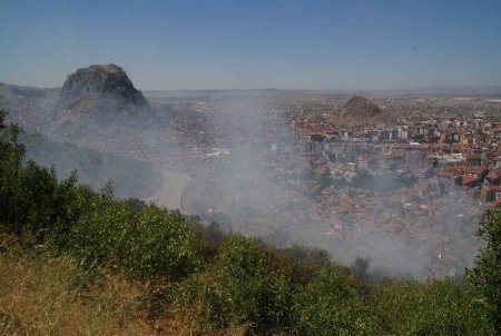 Afyonkarahisar'da yangın: 10 dönümlük dikili alan zarar gördü