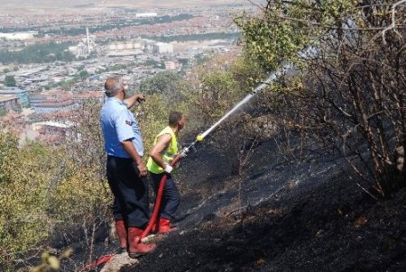 Afyonkarahisar'da yangın: 10 dönümlük dikili alan zarar gördü