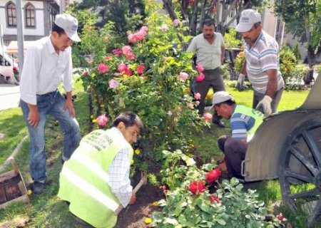 Afyonkarahisar'da Yaz Döneminde 150 Bin Çiçek Dikilecek