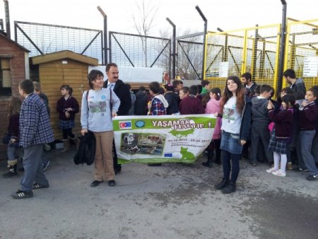 Ağabey ve abla öğrencilerden küçüklere hayvan hakları dersi