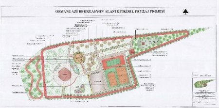 Ağaç Kesen Firmanın Ceza Olarak Aldığı Fidanlar Dikiliyor