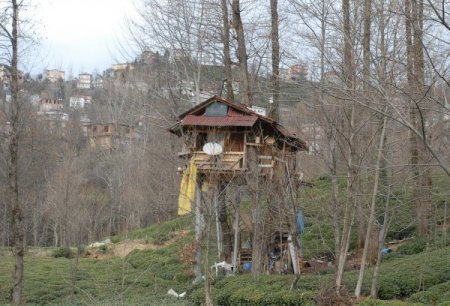 Ağaç Üzerinde Kurduğu Evde Yaşıyor