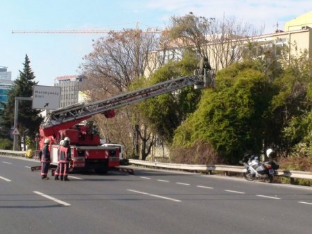 Ağaca asılı şüpheli çanta E-5'i kapattı