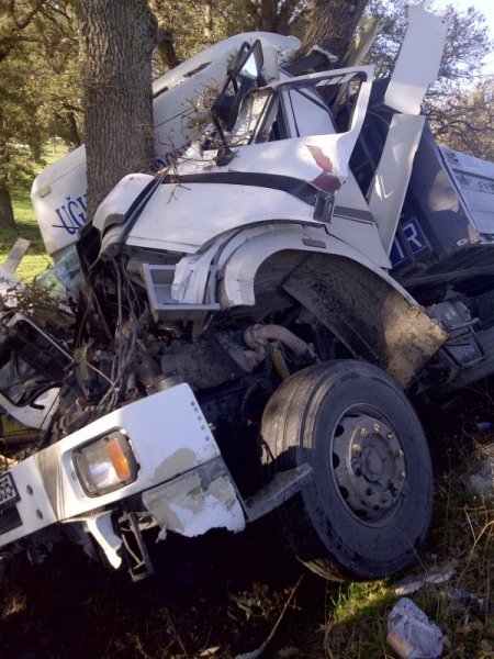 Ağaca çarpan TIR'ın sürücüsü hayatını kaybetti