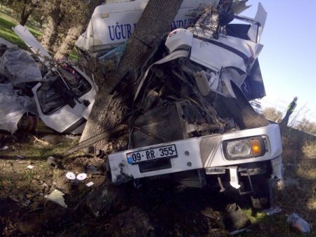 Ağaca çarpan TIR'ın sürücüsü hayatını kaybetti