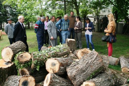 Ağaçta Mantar Yetiştiriciliği Çiftçilerin Kazanç Kapısı Oldu