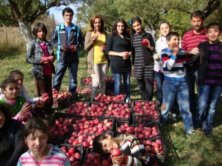Ağaçtaki elmaları okula bağışladı