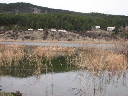 Ağca'nın Tahliyesi Turizmcileri Hareketlendirdi