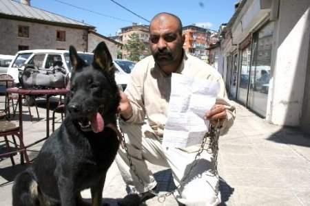 Ağız Maskesi Olmadan Köpek Gezdiren Vatandaşa Para Cezası