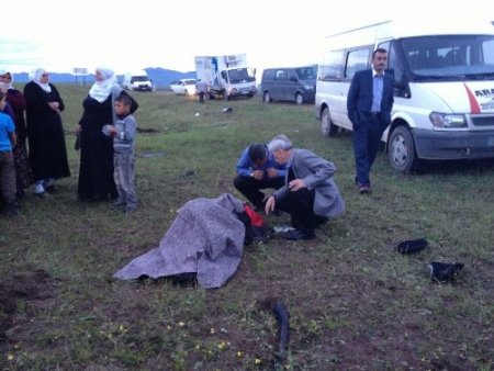 Ağrı-Tutak kara yolunda trafik kazası: 1 ölü, 7 yaralı