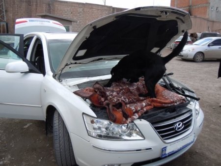 Ağrı’da 20 Kilogram Eroin Ele Geçirildi