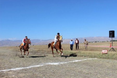 Ağrı'da düzenlenen mahalli at yarışları büyük çekişmeye sahne oldu