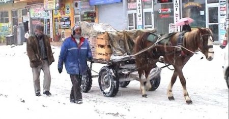 Ağrı'da Güneş Yüzünü Gösterdi, Kar Temizliği Başladı