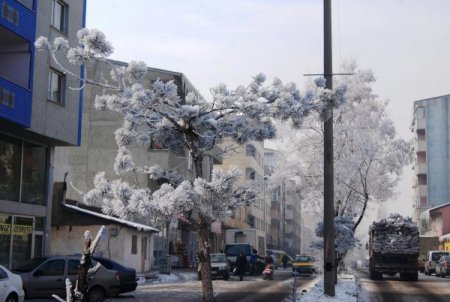 Ağrı'da Hava Sıcaklığı Gündüz Sıfırın Altında 20 Dereceyi Gördü