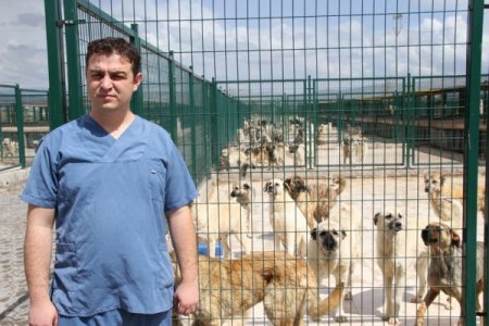 Ağşahinci: Sokak Hayvanı Meselesini Türkiye’de Çözmüş Şehirlerden Birisiyiz